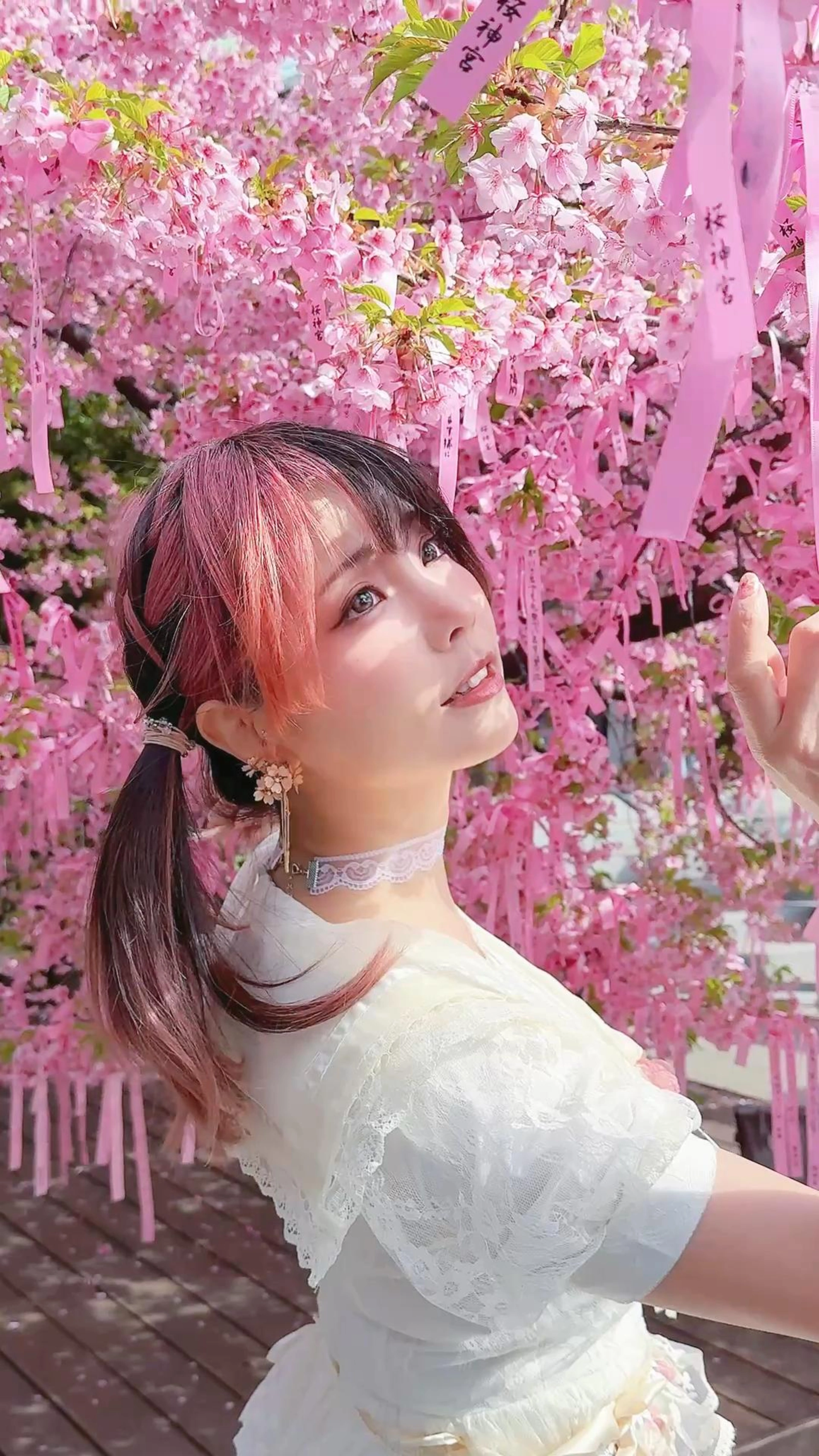 ElyEE子 – NO.208 2025年04月订阅 (4套) 0