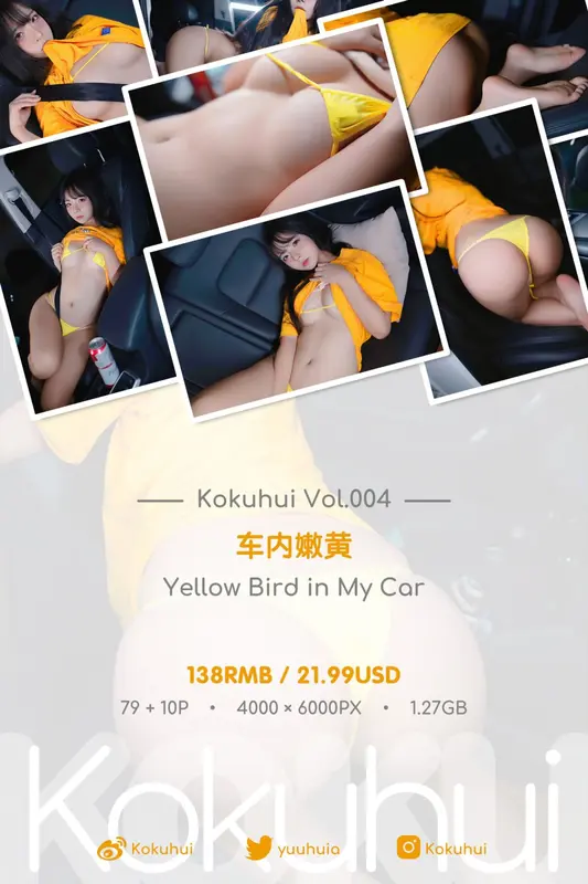 yuuhui玉汇 (Kokuhui) – NO.078 车内嫩黄 Yellow Bird in My Car 19